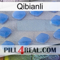 Qibianli 21